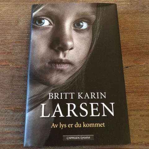 ! BOK: «Av lys er du kommet» Britt Karin Larsen