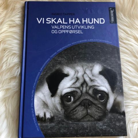 ! BOK: «Vi skal ha hund»