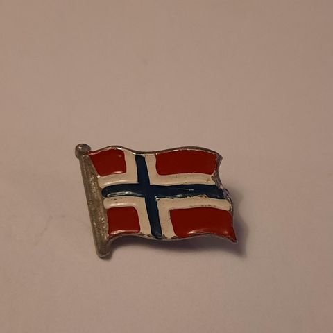 Vakker eldre norges flagg pins / Merke