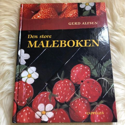 ! HOBBYBOK: «Den store maleboken» Gerd Alfsen