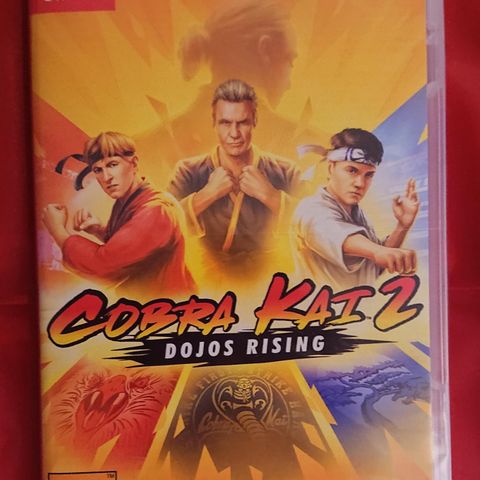 Cobra kai 2 Dojos rising til Nintendo switch. (NYTT)