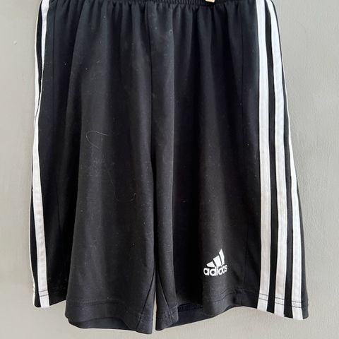 Adidas shorts str. 152