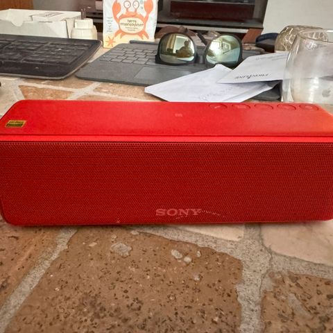 SONY srs-hg1