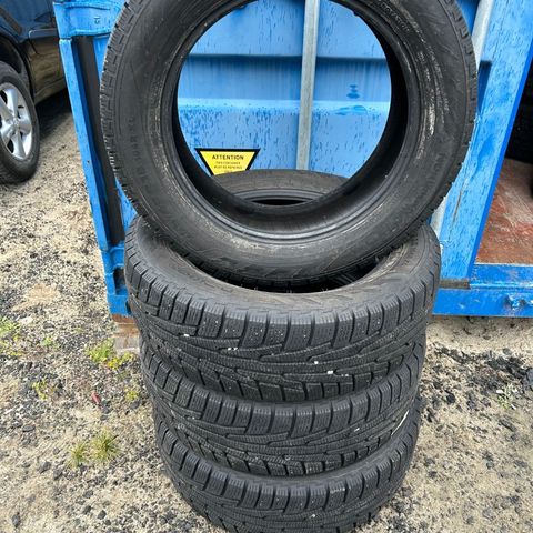 NOKIAN 205/60-18