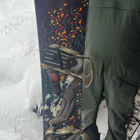 Snowboard Palmer 159 cm