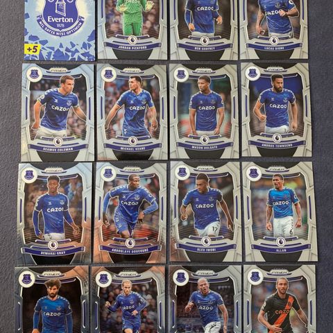 Komplett Everton lag - 16 Fotballkort - Calvert-Lewin, Richarlison, Davies