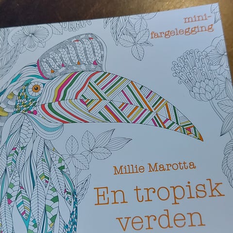 Annonsebilde