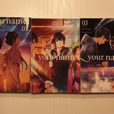 Your name manga
