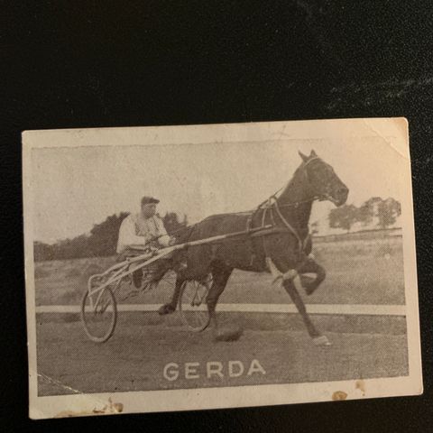 Gerda 1926 Torkild Waagard Hen Finn Ulven Trav Bjerke sigarettkort 1930