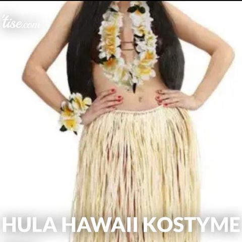 HULA HAWAII COSTUME