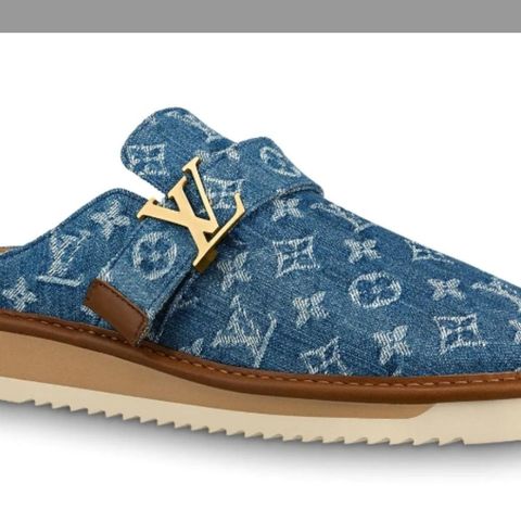 Limited Edition Louis Vuitton Tøfler.