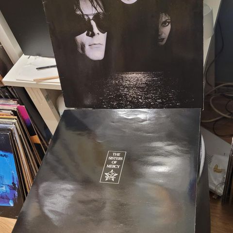 The Sisters of Mercy floodland