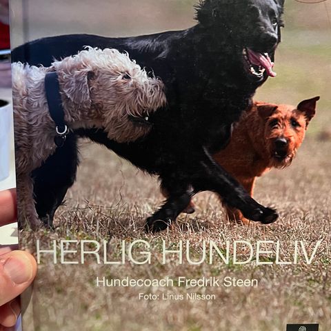 HERLIG HUNDELIV - Hundecoach Fredrik Steen