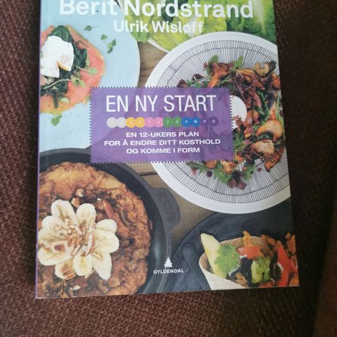 Kostholdsbok: En ny start