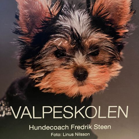 VALPESKOLEN - Hundecoach Fredrik Steen