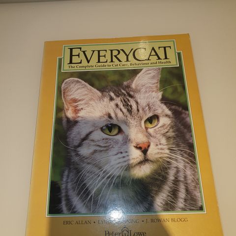 Everycat. Eric Allan m.fl