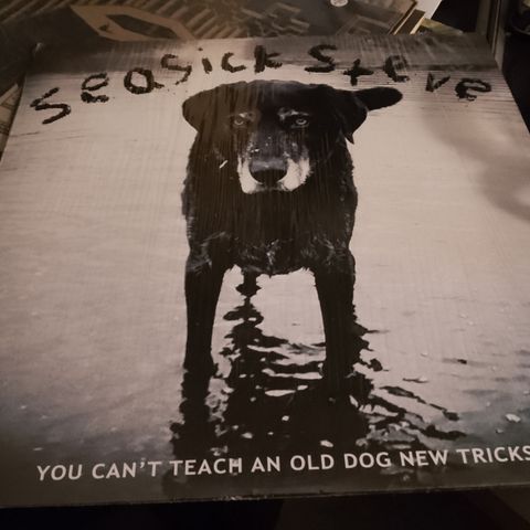 Seasick Steve - You Can´t Teach An Old New Tricks på vinyl