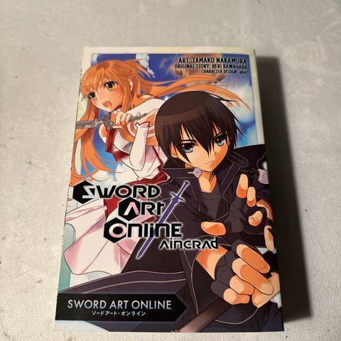 Sword Art Online Aincrad