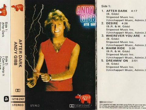 Andy Gibb - After dark