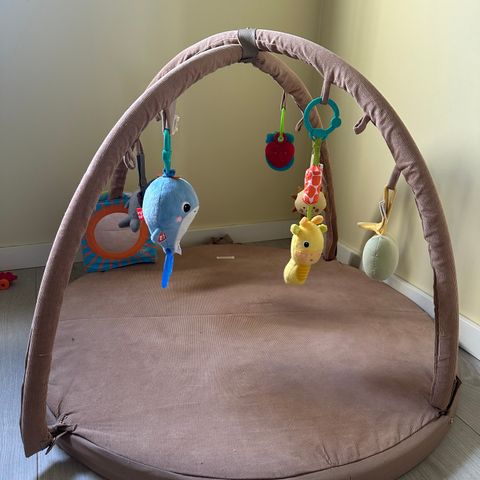 Filibabba Loui babygym