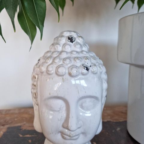 Buddha hode