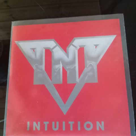 Selger TNT INTUTION VINYL Single