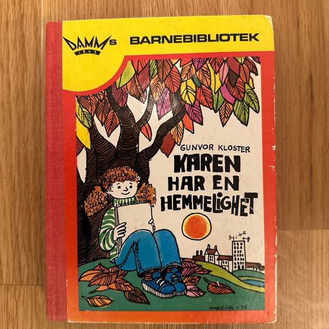 Vintage barnebok: Karen har en hemmelighet, Damm, Barnebibliotek