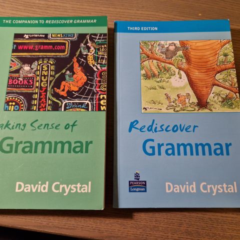 Making sense of grammar + rediscover grammar (engelsk pensumbøker) 200 for begge