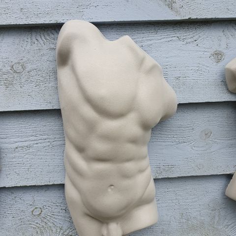 Mann torso