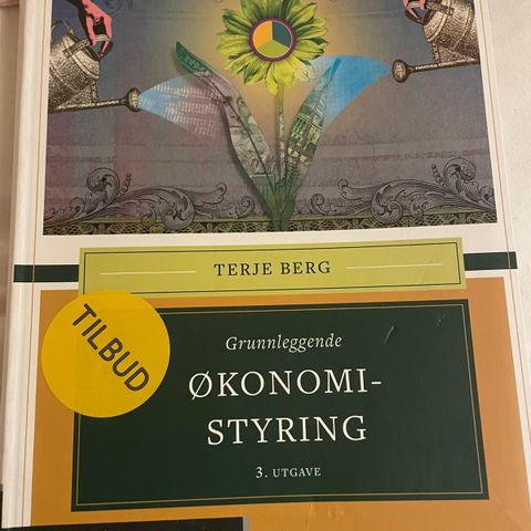 Økonomistyring Terje Berg, bedriftsøkonomi og finans