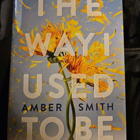 The way I used to be by Amber Smith