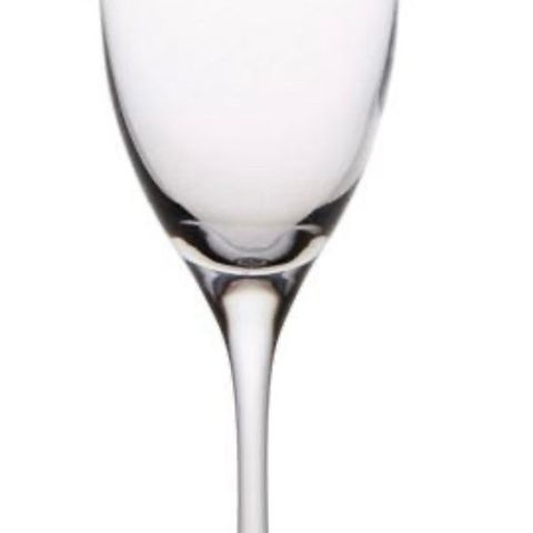 10 stk Spiegelau Stiernholm Vino Classico champagneglass