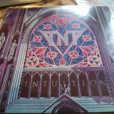 Selger TNT - Inntuition Vinyl