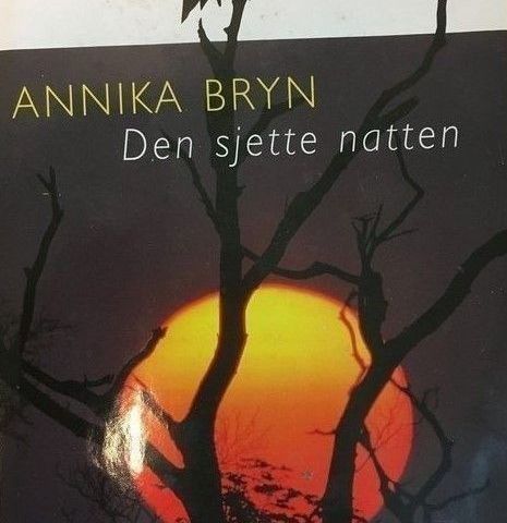 Annika Bryn: "Den sjette natten"