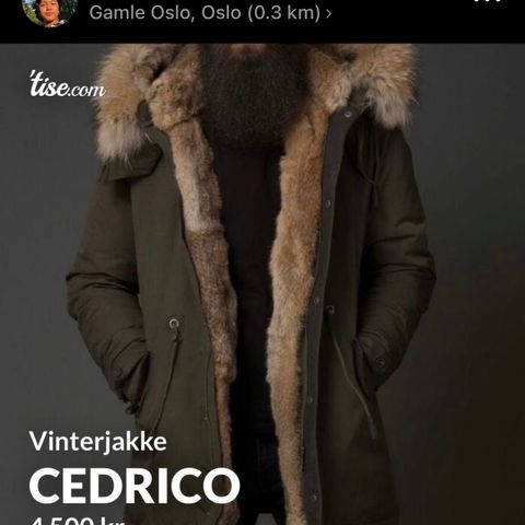 Cedrico Vinterjakke