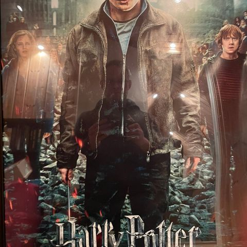 Harry Potter plakat