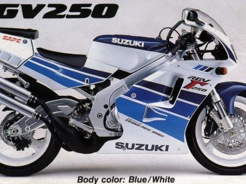 Suzuki RGV 250 el 500