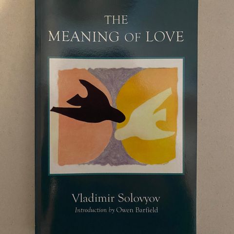 The meaning of love av Vladimir Solovyov