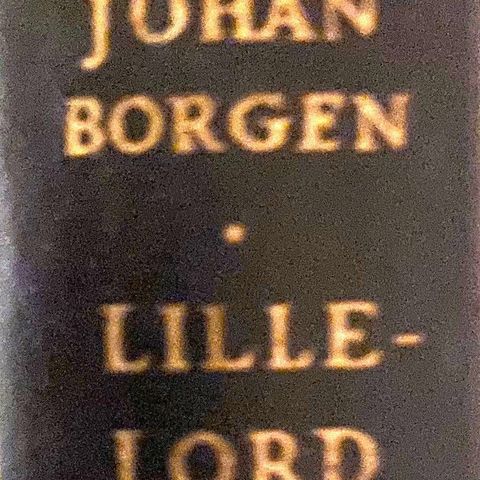 Johan Borgen: "Lillelord". Roman.