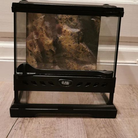 Exo Terra Terrarium