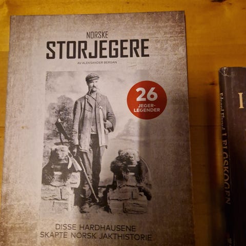 Annonsebilde