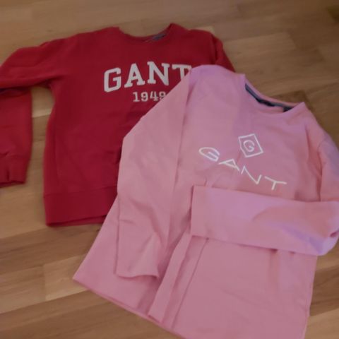 Gant genser + trøye