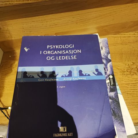 psykologi i organisasjon og ledelse