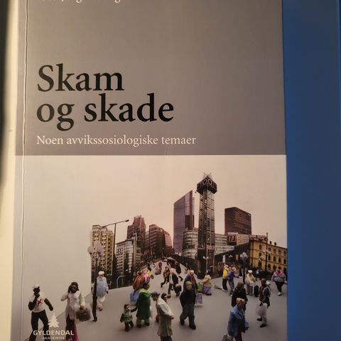 Skam og skade, noen avvikssosiologiske temaer