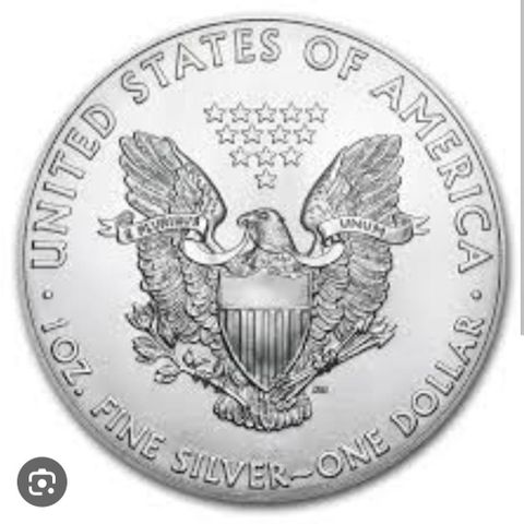 Silver Eagle 1996 - 1 Oz. Fine Silver Coin