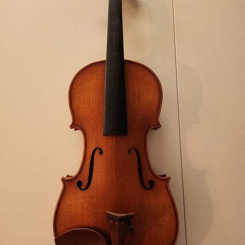 Eastman Strings vl200 4/4 Fiolin
