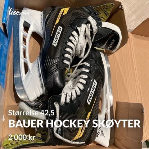 Bauer