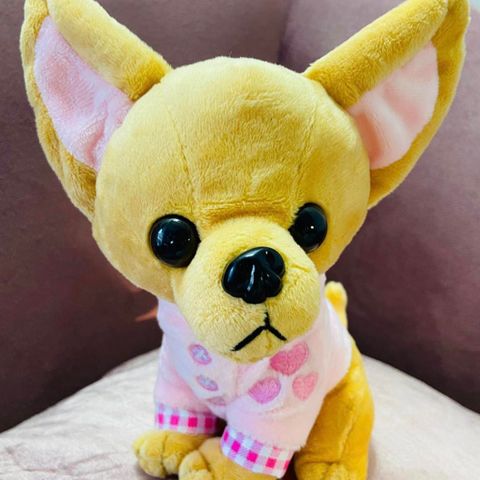 Gave/Babyshower/Gender reveal/Festpynt. Bamse Chihuahua 220kr per stk.