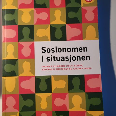 Sosionomen i situasjonen, Ellingsen m.fl.