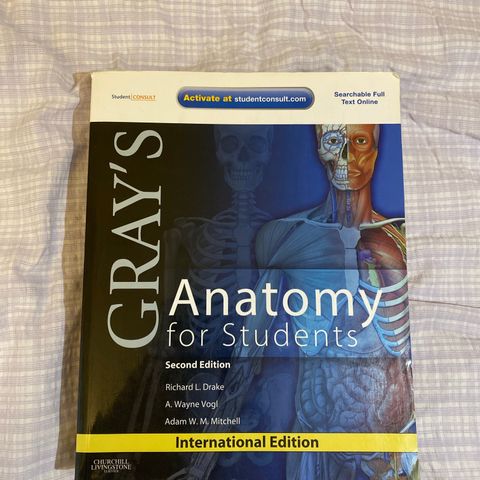 Grays Anatomy for students